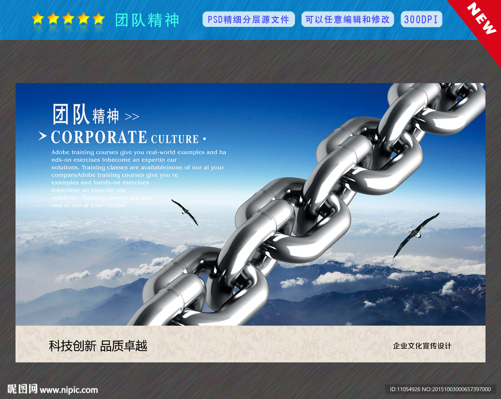 团队
