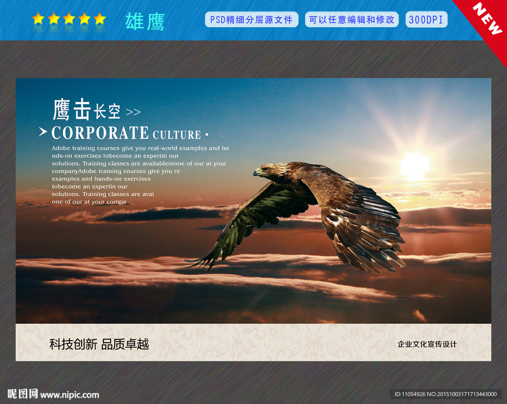 老鹰