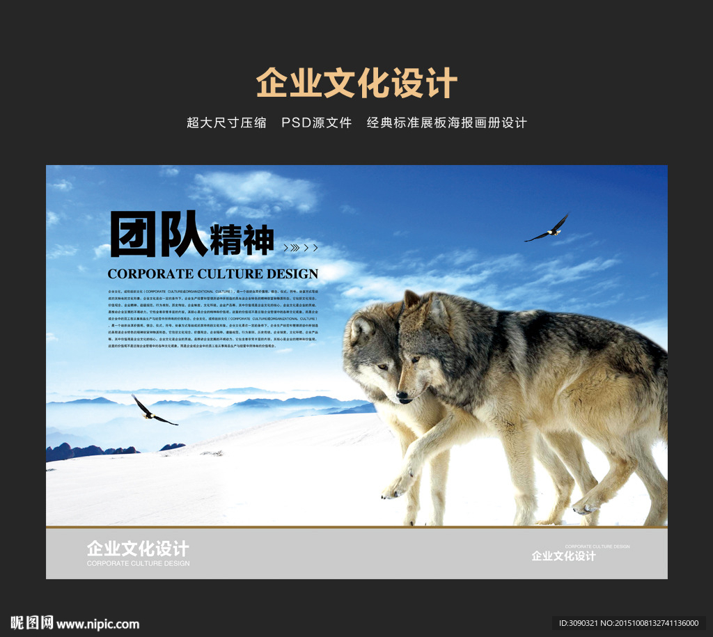 团队