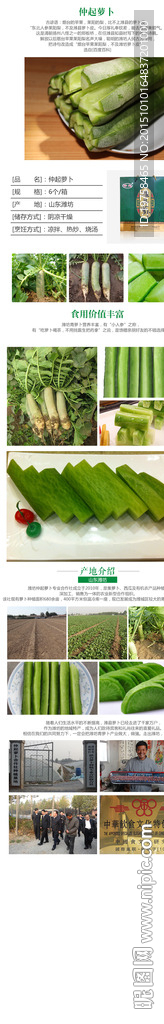 潍县萝卜 仲起萝卜详情页