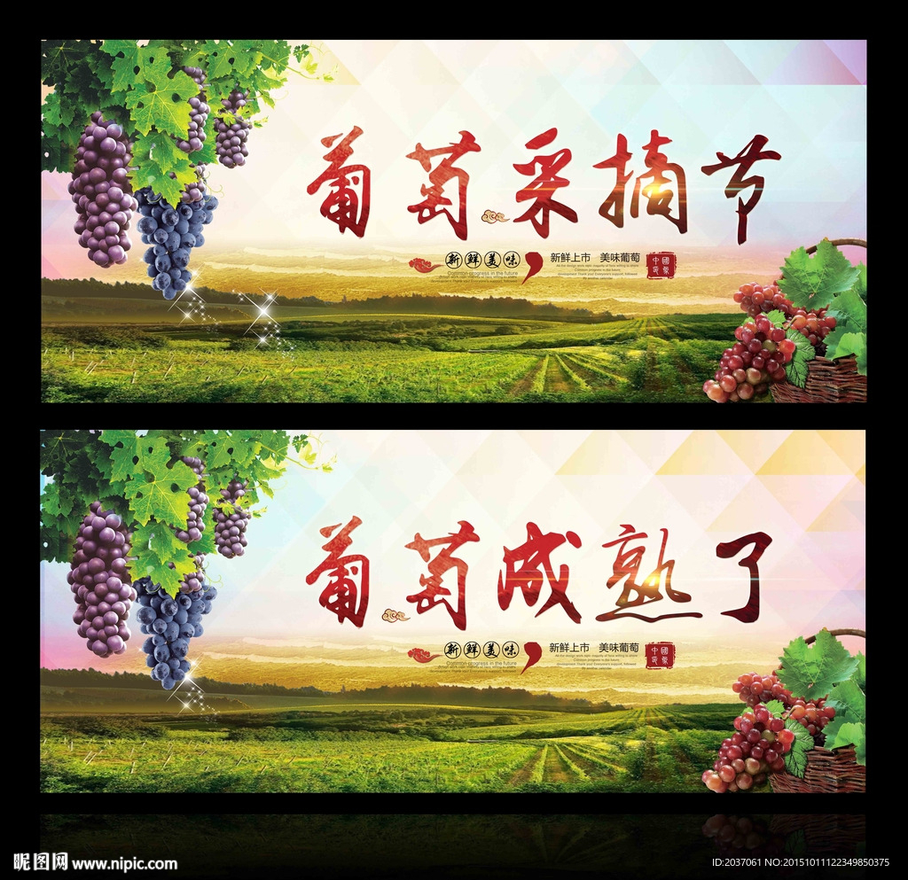 葡萄熟了