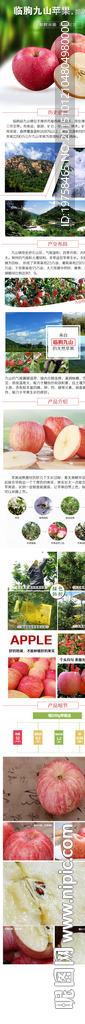 苹果详情页  水果详情  果蔬