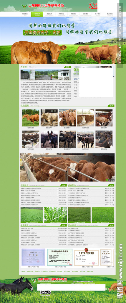 肉牛养殖厂网站首页