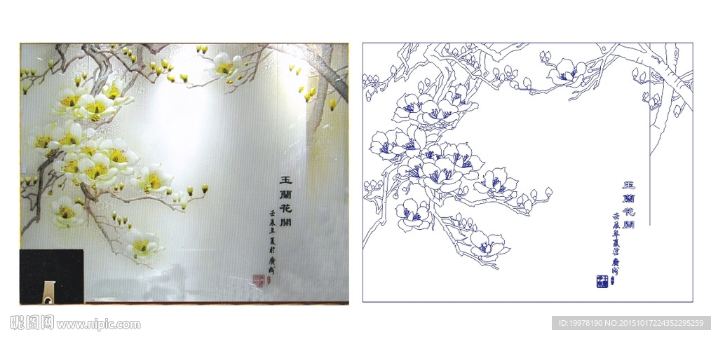 玉兰花开