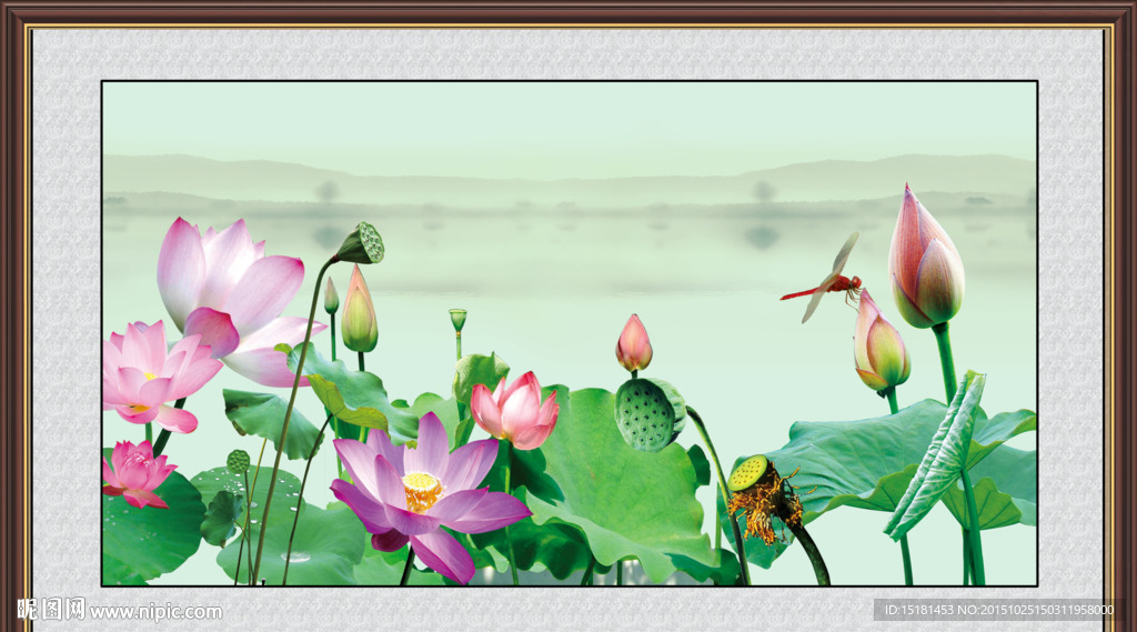 荷花风景画