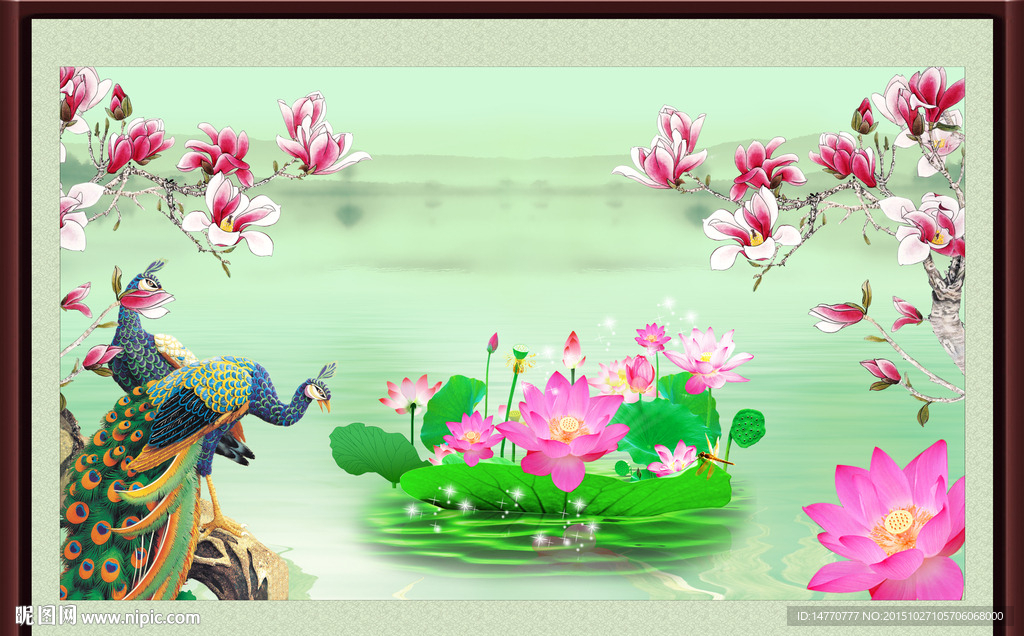 孔雀玉兰花