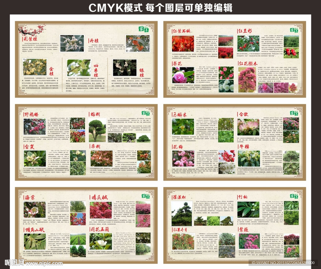 花卉苗木