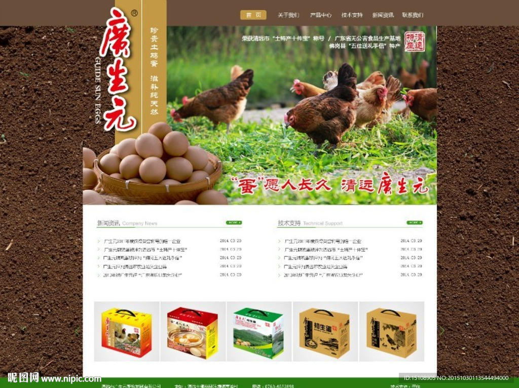 网站首页