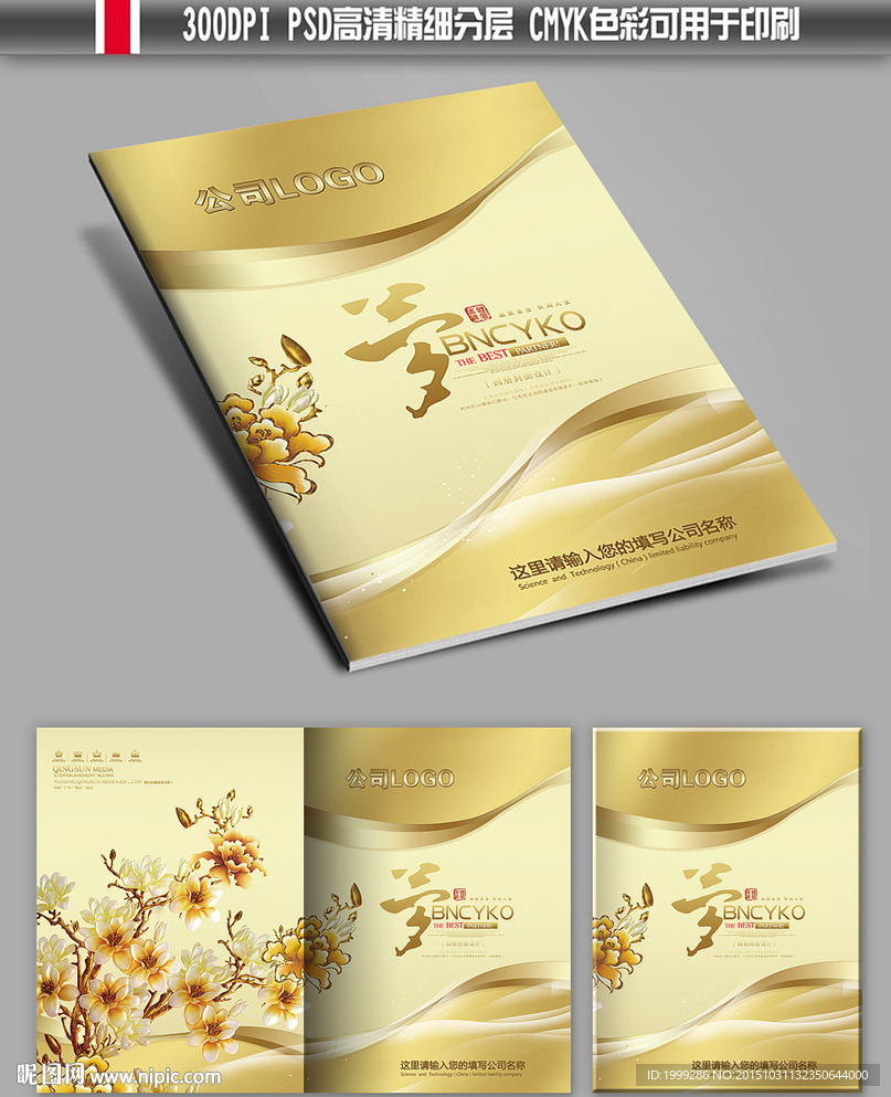 金色雕花企业画册封面设计