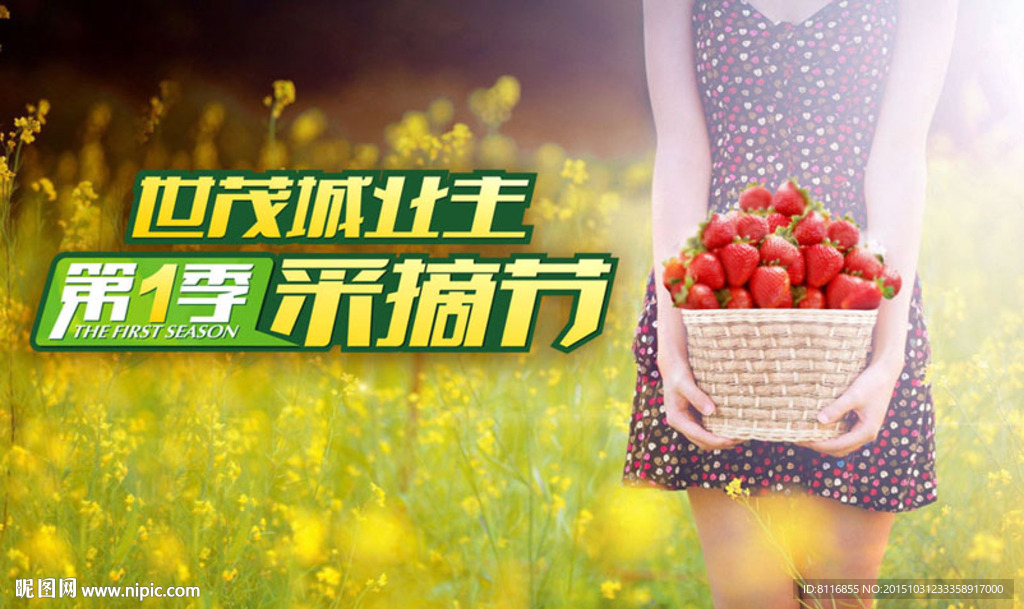 美女草莓采摘节