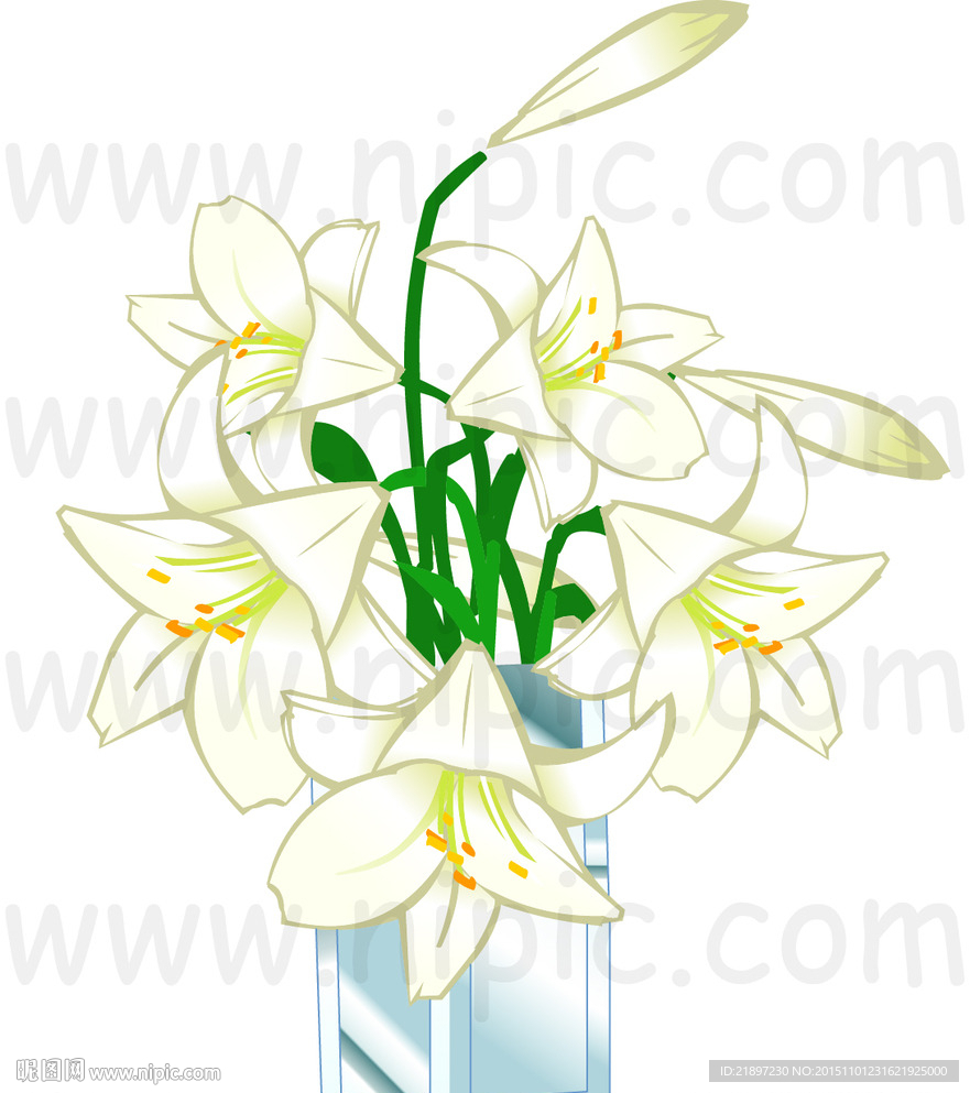 百合花