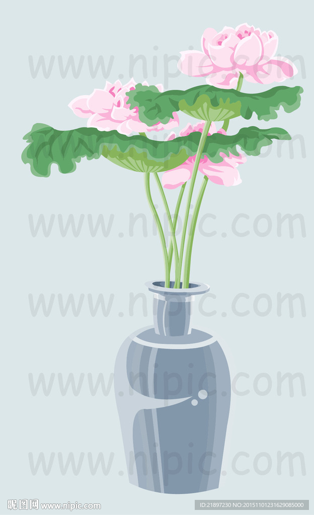 荷花盆景