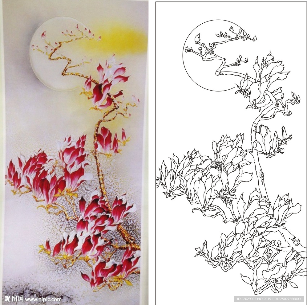 玉兰花