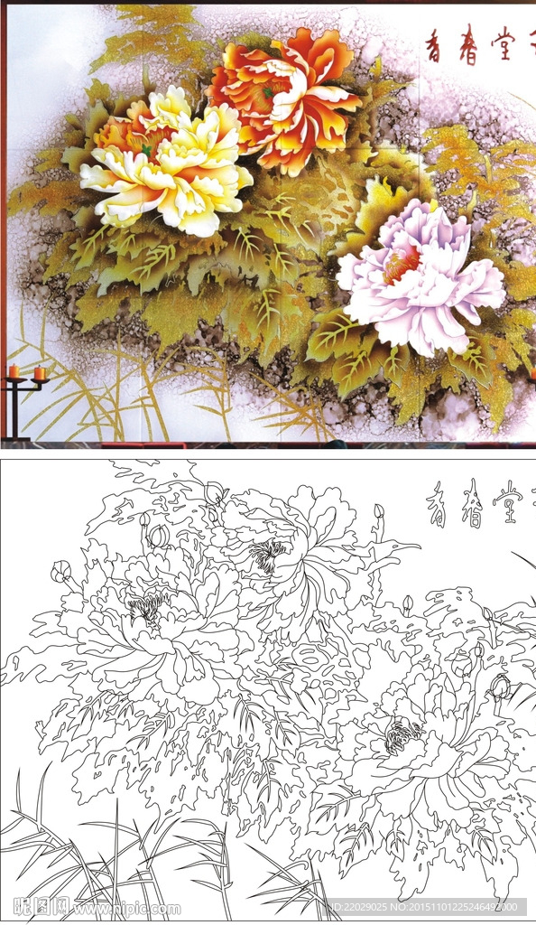 牡丹花