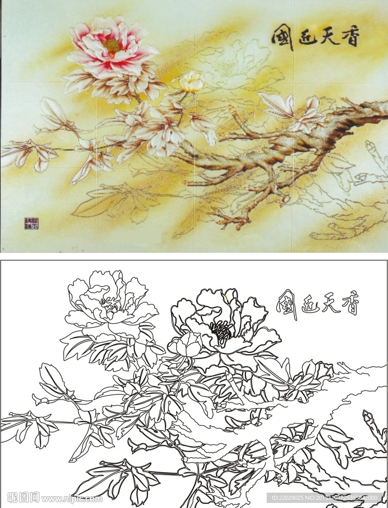 牡丹