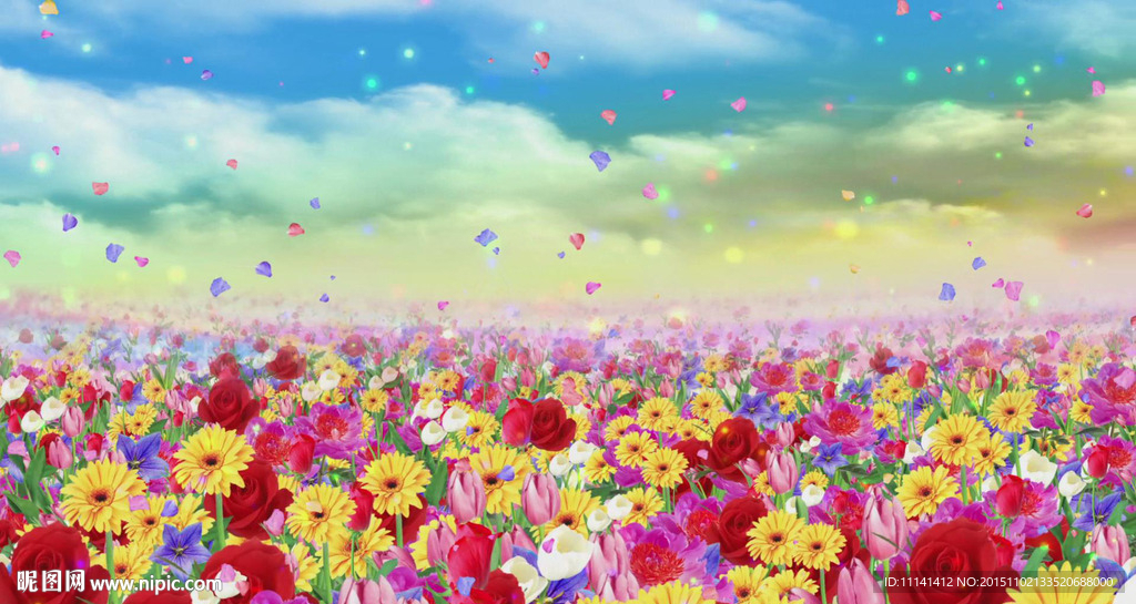 美丽花海花瓣流云民族歌曲LED