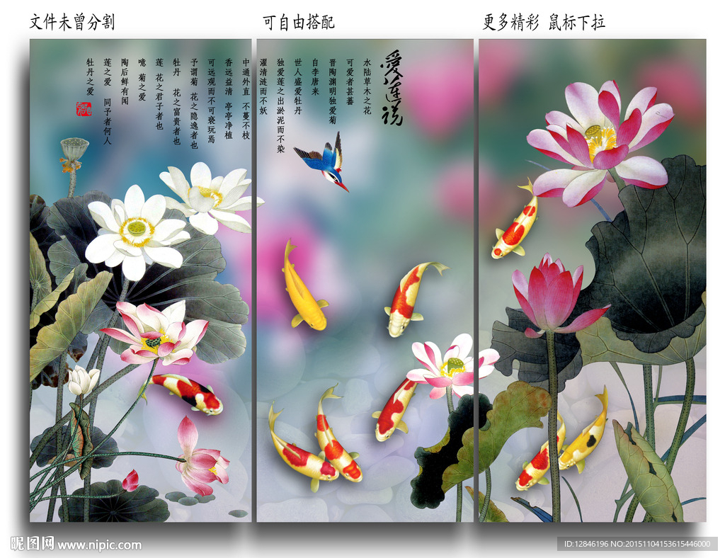 荷花图