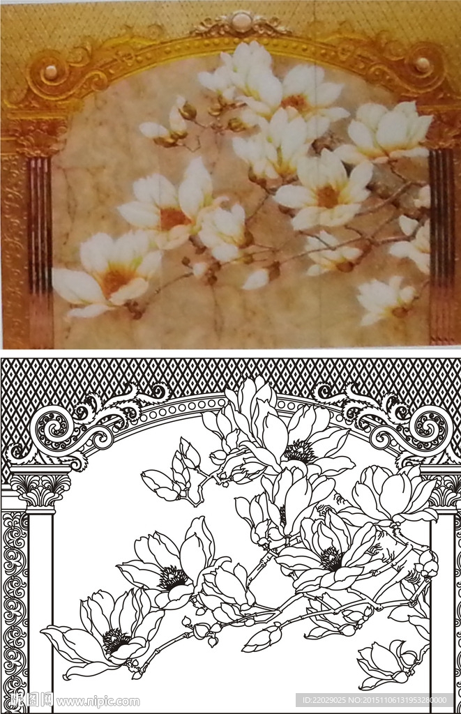 玉兰花