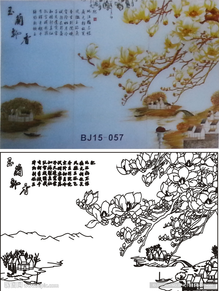 玉兰飘香