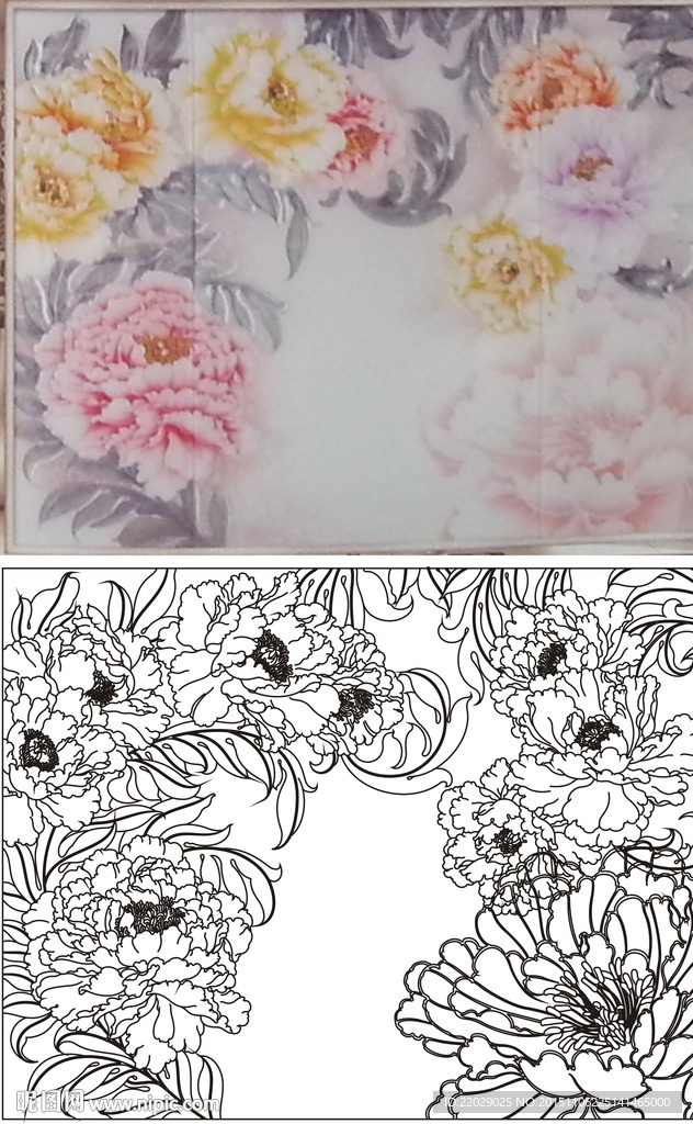 牡丹花