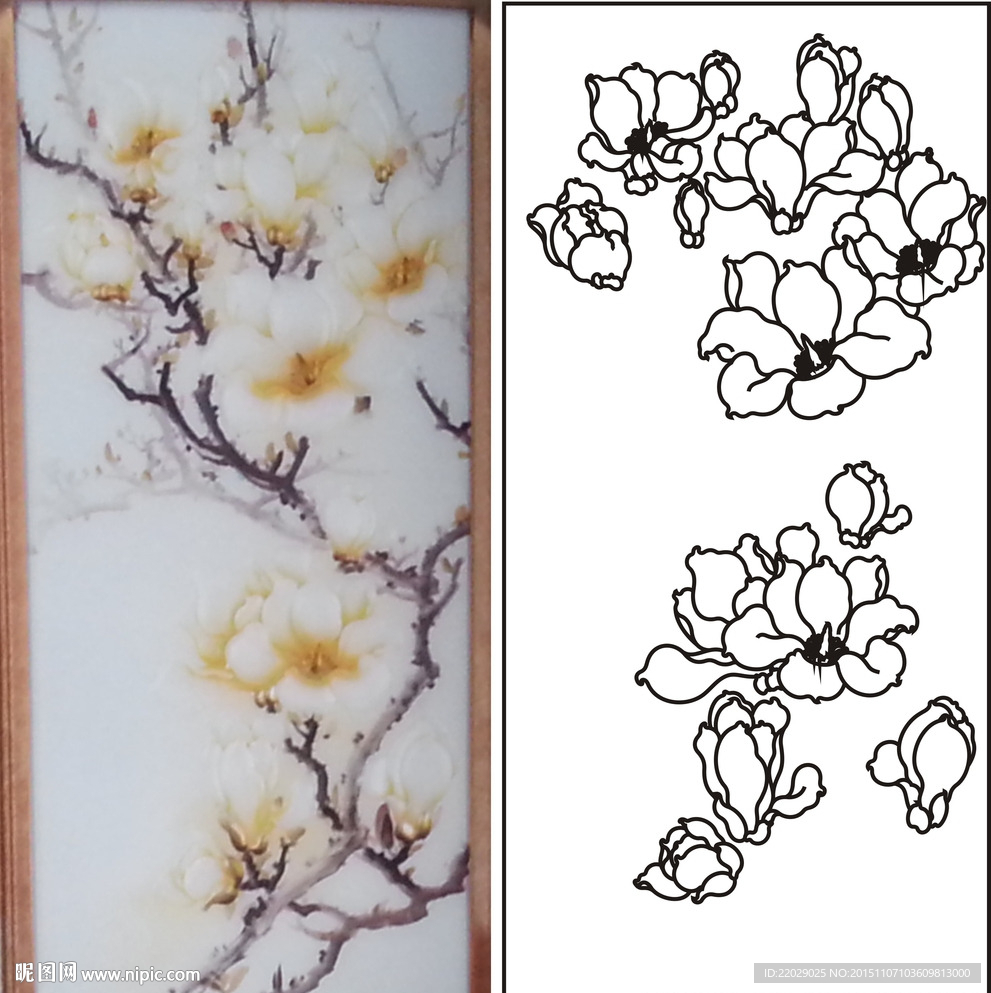 玉兰花