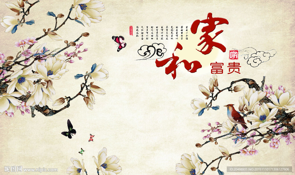 家和玉兰花