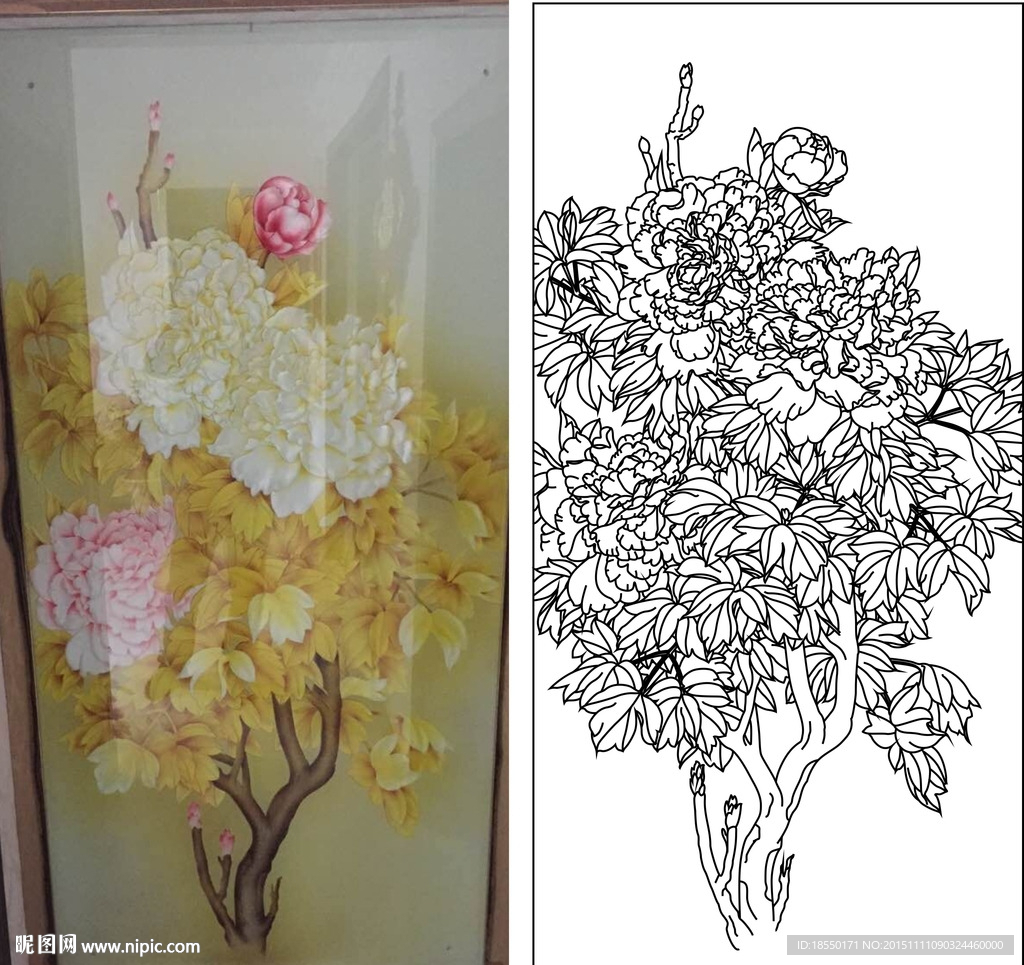 牡丹花