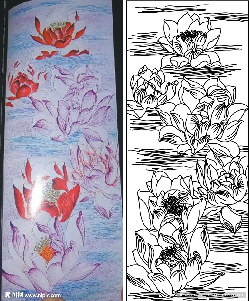 荷花