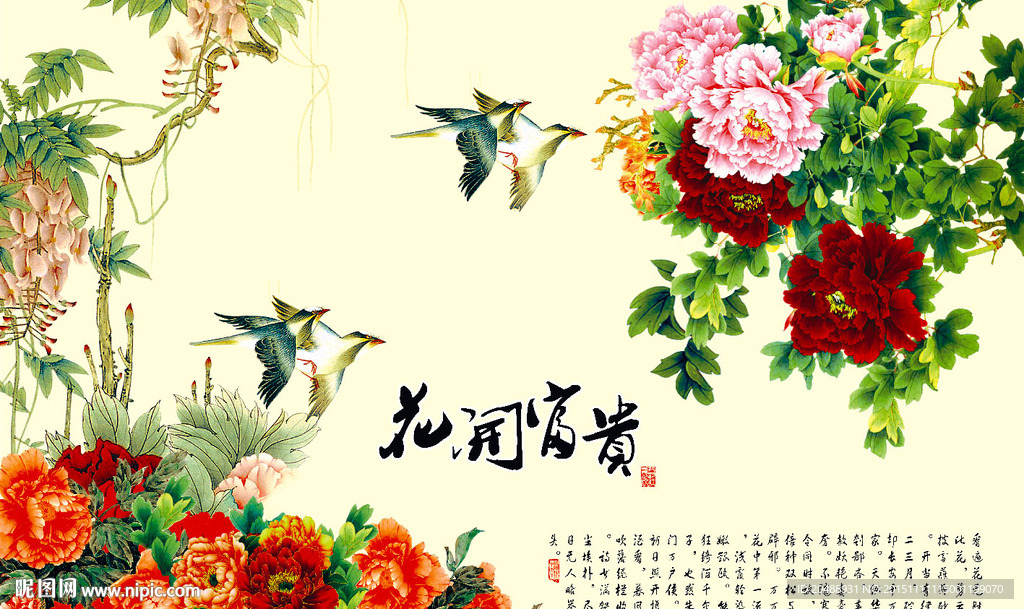 富贵花开
