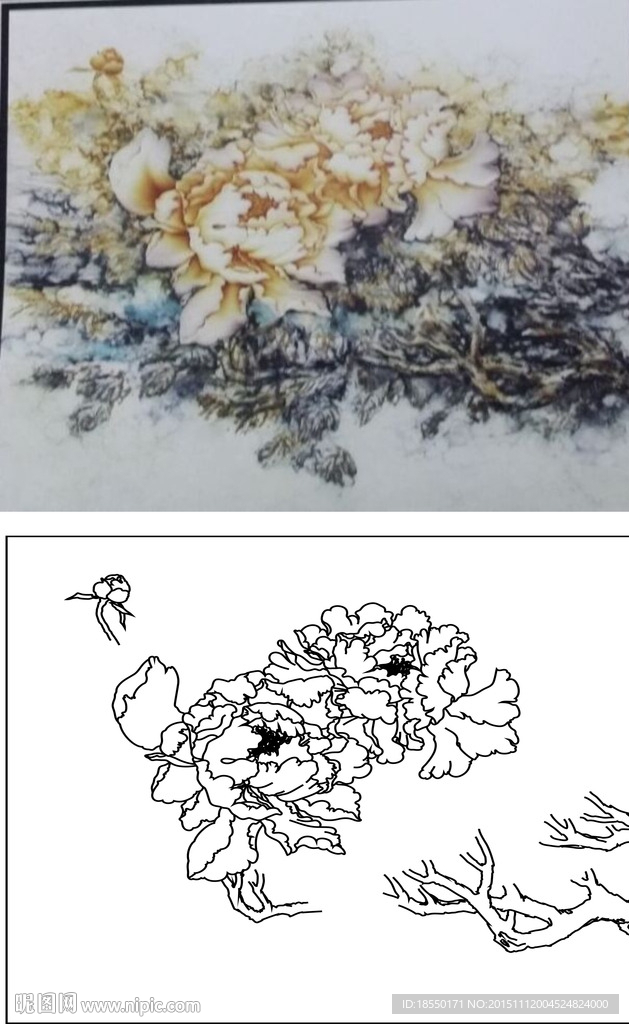 牡丹