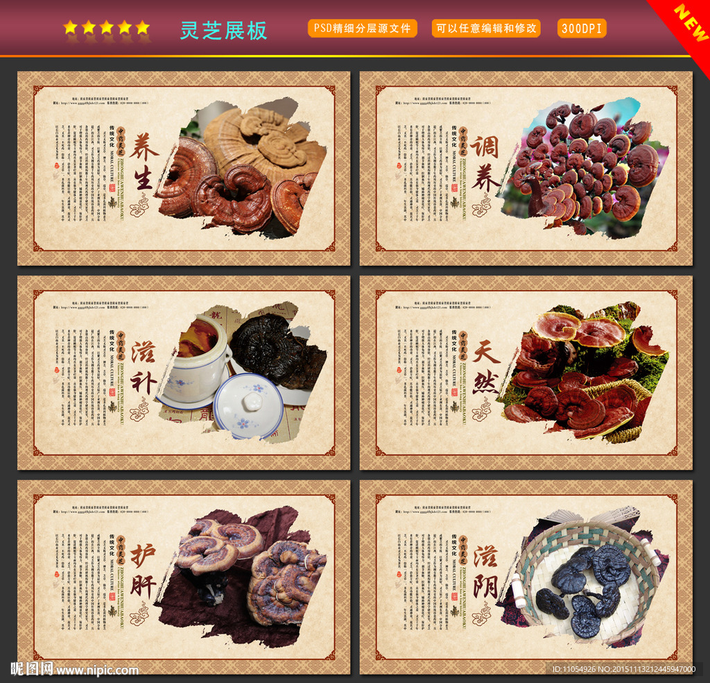 灵芝