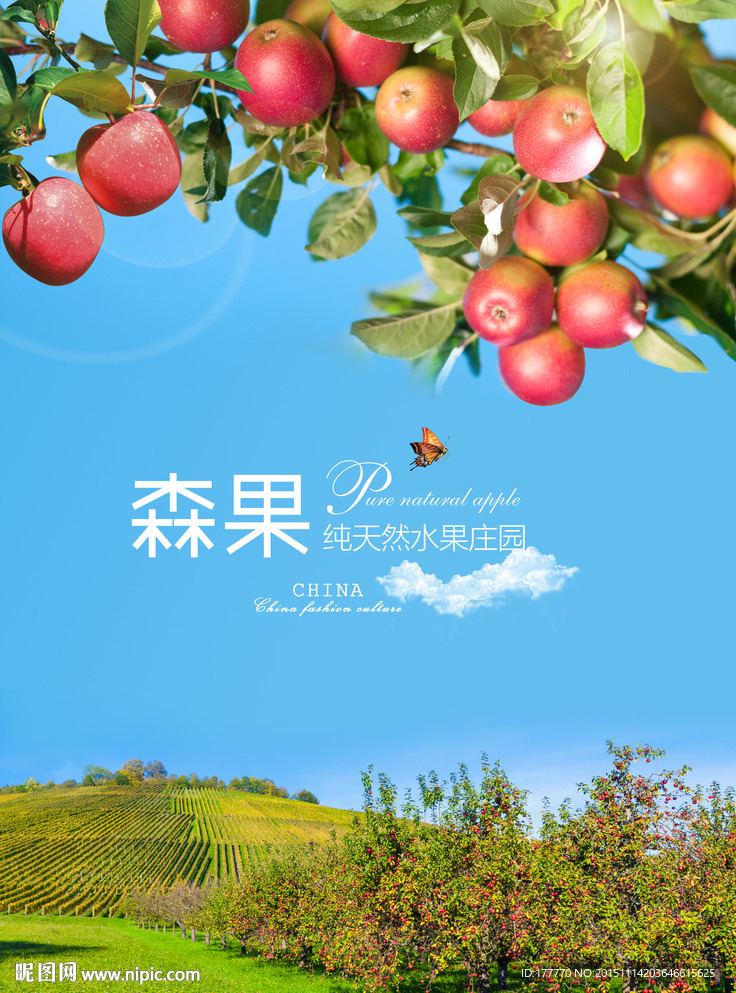 苹果海报 苹果广告