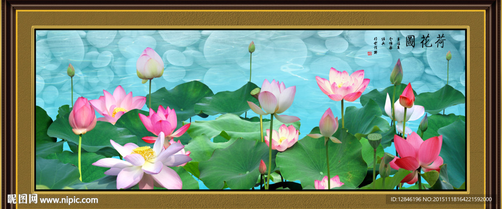 荷花