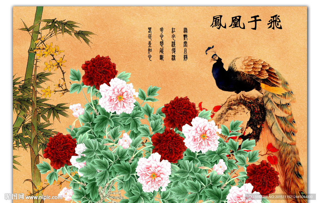孔雀牡丹图