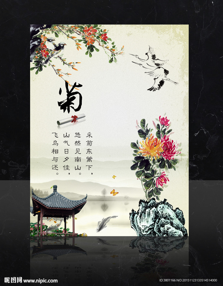 菊花