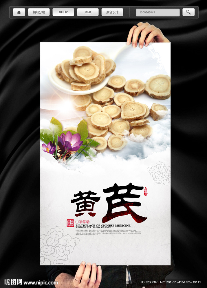 中药黄芩