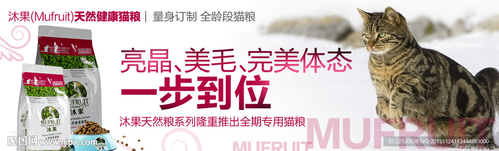 猫咪猫粮宣传