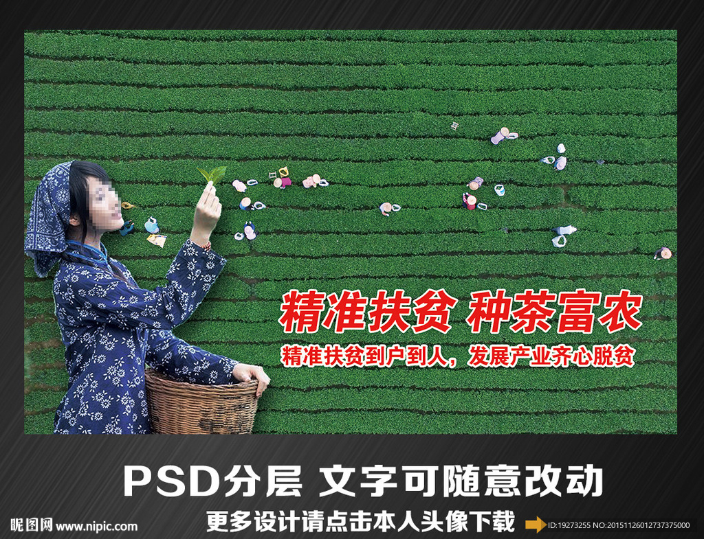 种茶扶贫