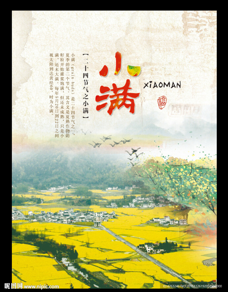 小满二十四节气海报
