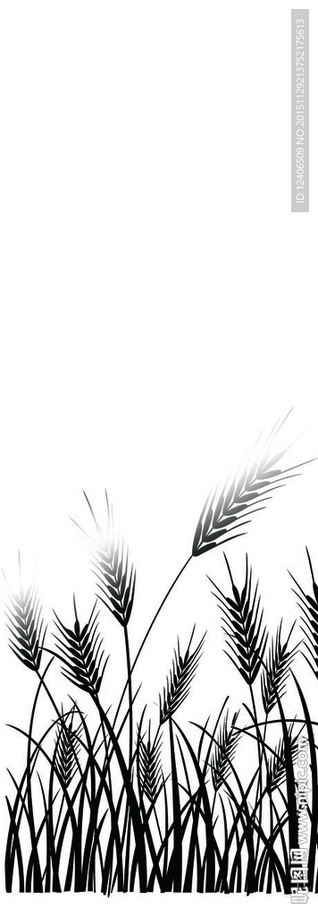 暗花 花纹 镜花  玻璃款式