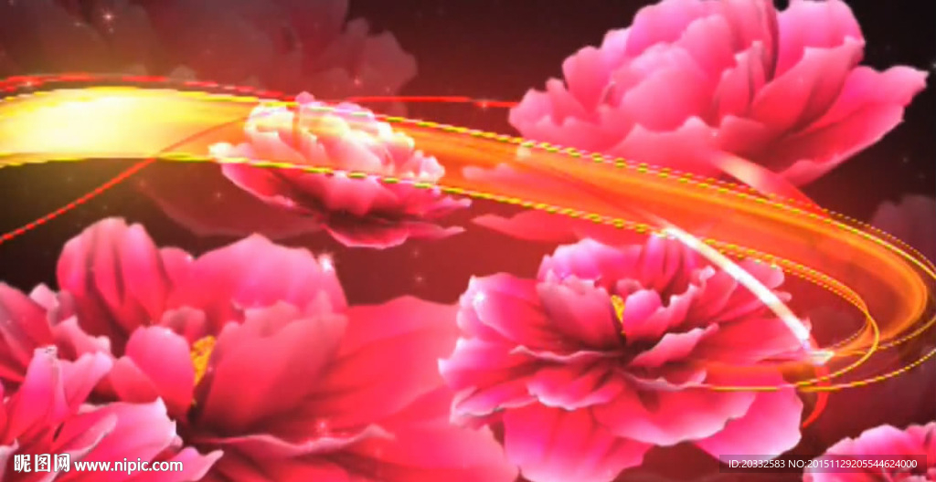 婚庆视频素材牡丹花LED背景