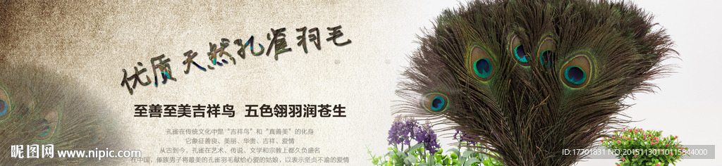 孔雀羽毛海报