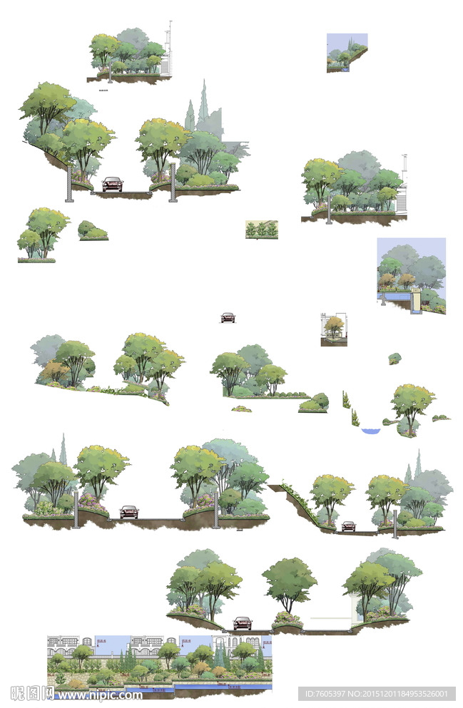 手绘鼠绘景观彩色立面树植物分层