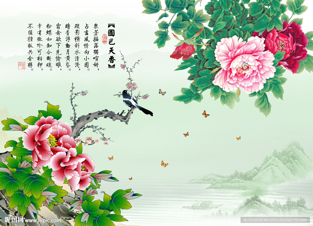 国色天香牡丹花