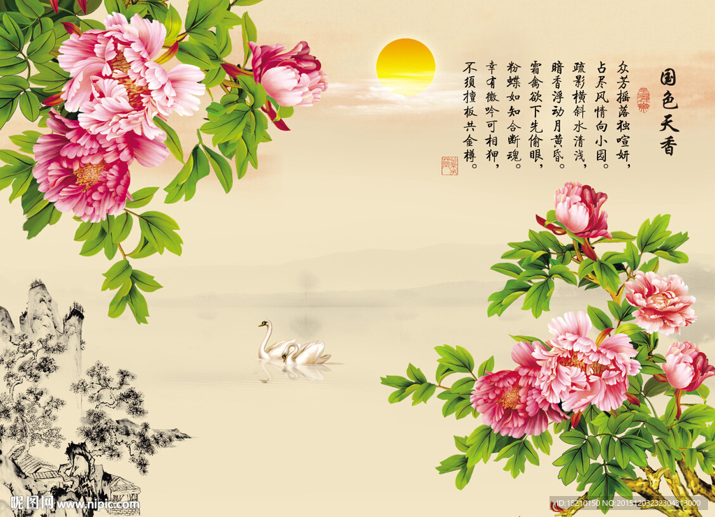 国色天香牡丹花