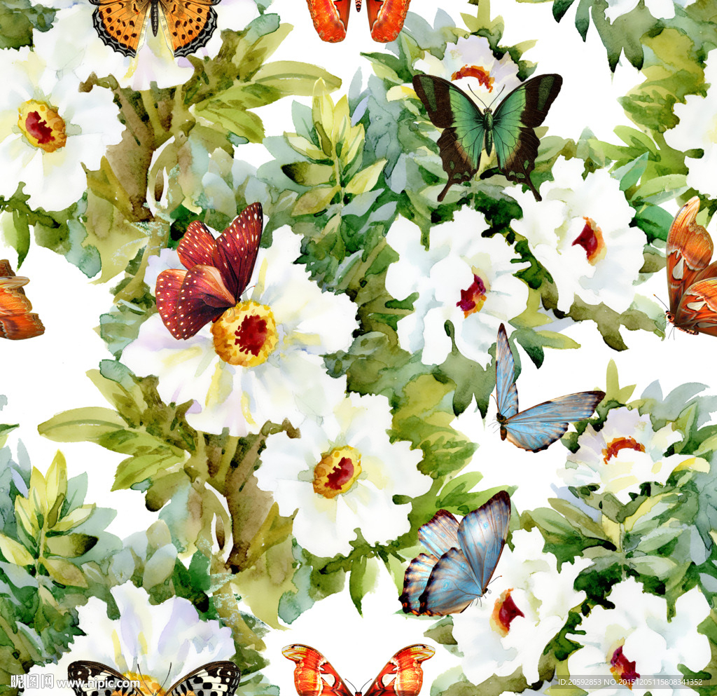 蝴蝶花卉秘密花园服装印花图案