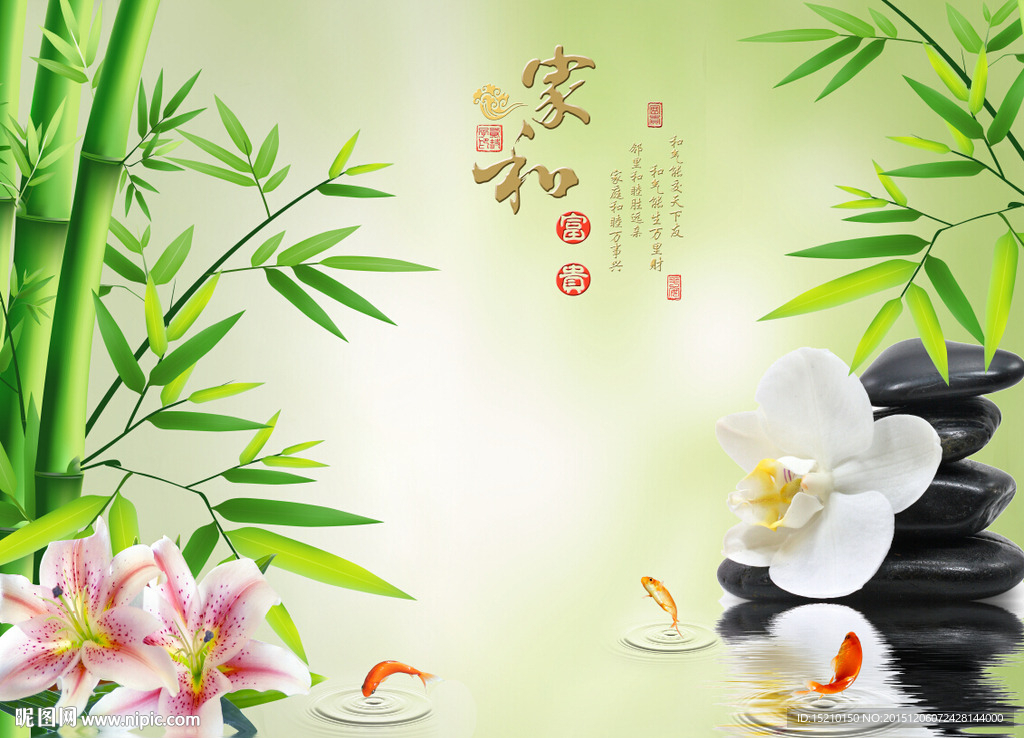 家和富贵竹子