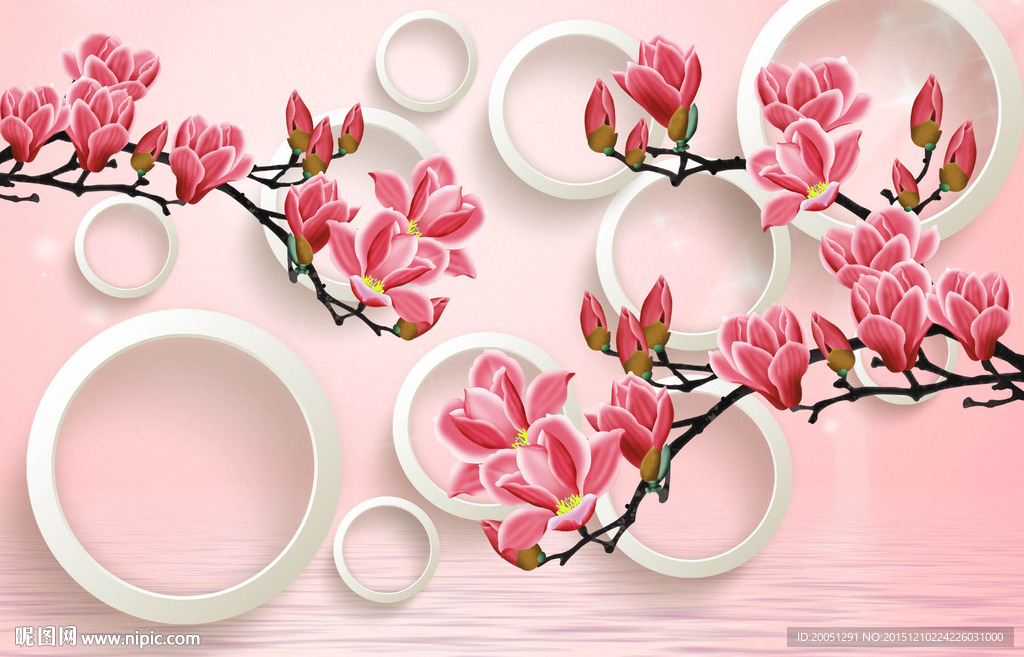 3d背景 花鸟
