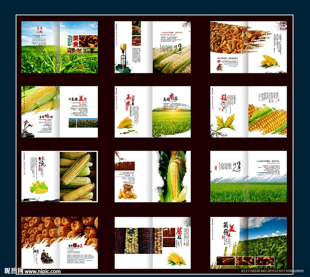 玉米画册设计
