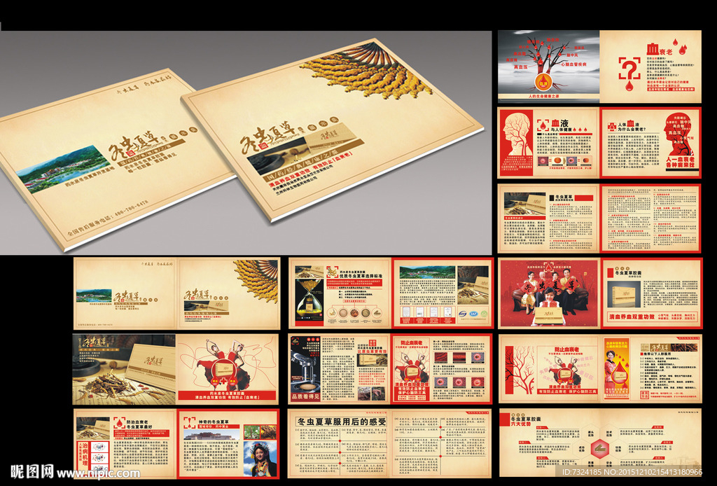 冬虫夏草产品手册